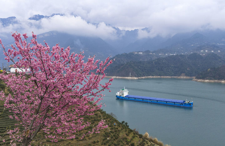 铺展绿水青山新画卷——习近平生态文明思想引领美丽中国建设迈出坚实步伐